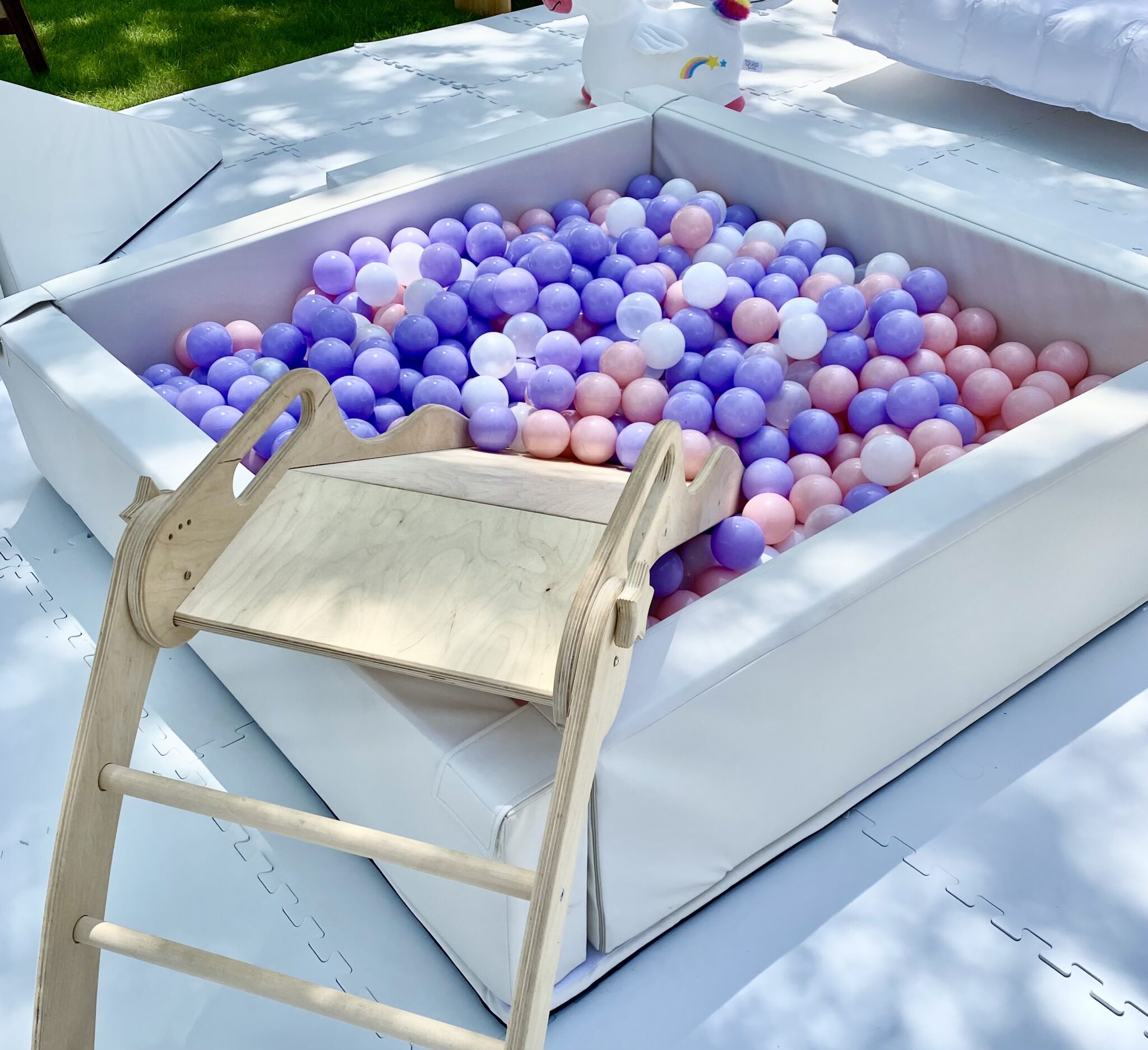 Ball Pit Party Rentals