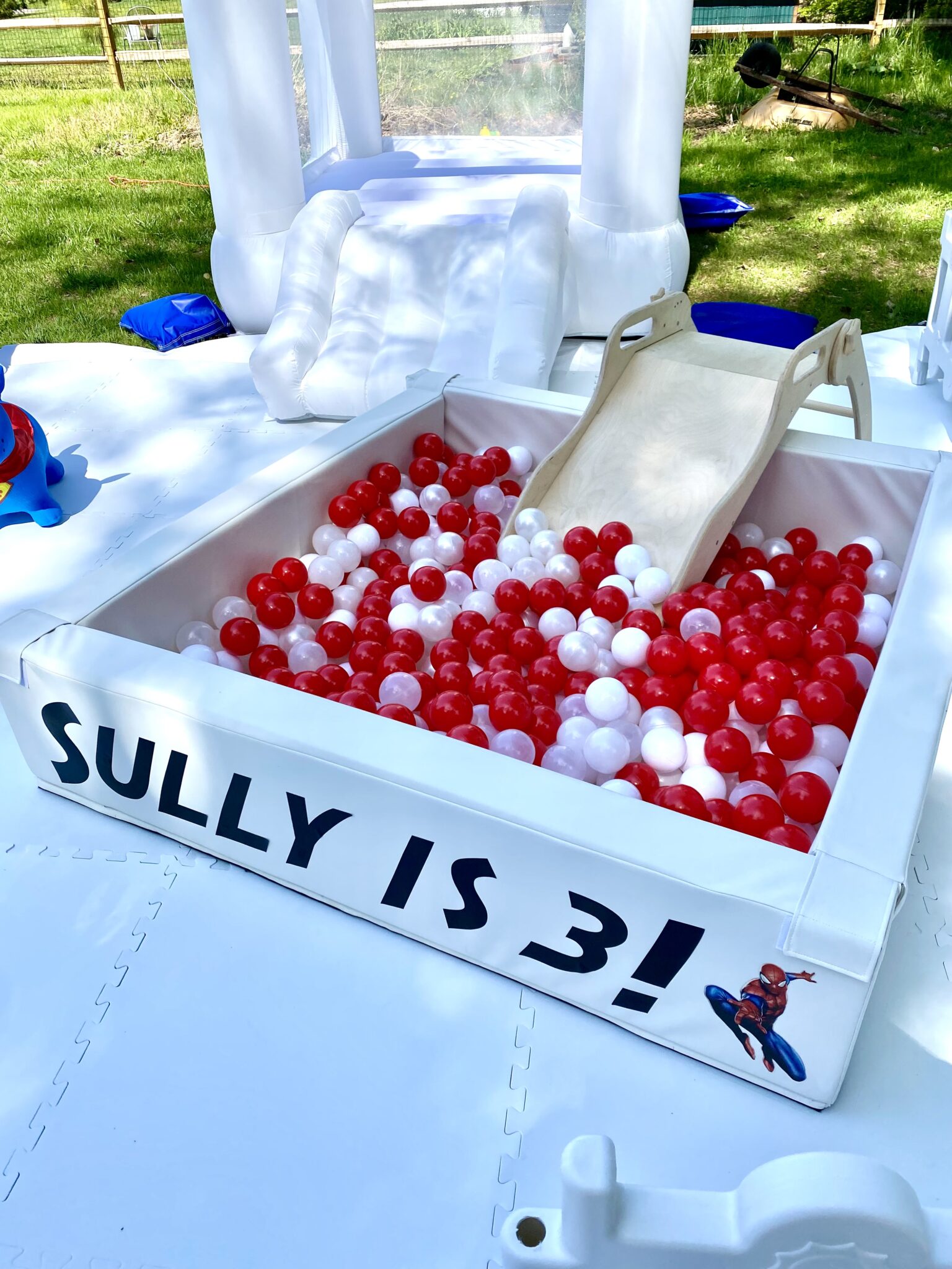 Ball Pit Party Rentals