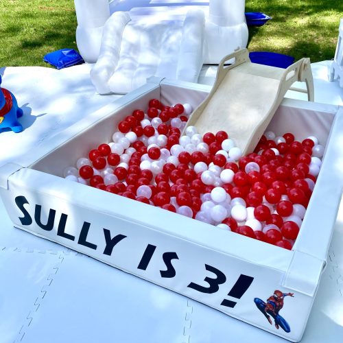 Ball Pit Party Rentals